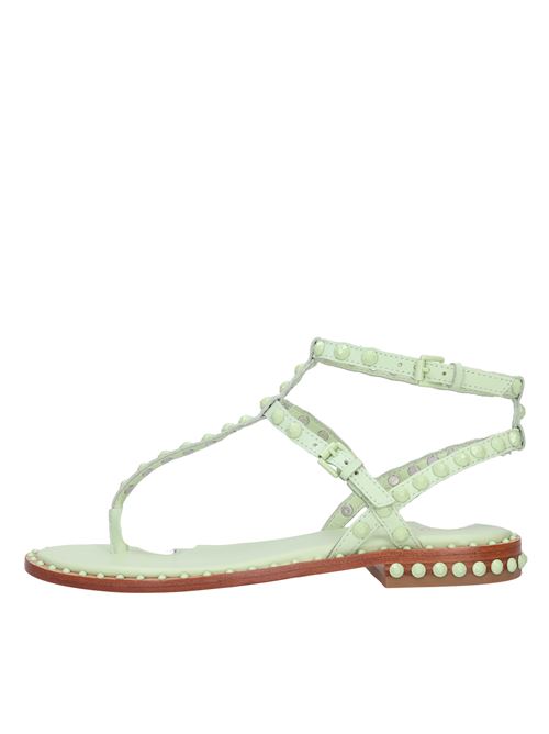 Sandali flat infradito in pelle ASH | PAROS BISSEAFOAM